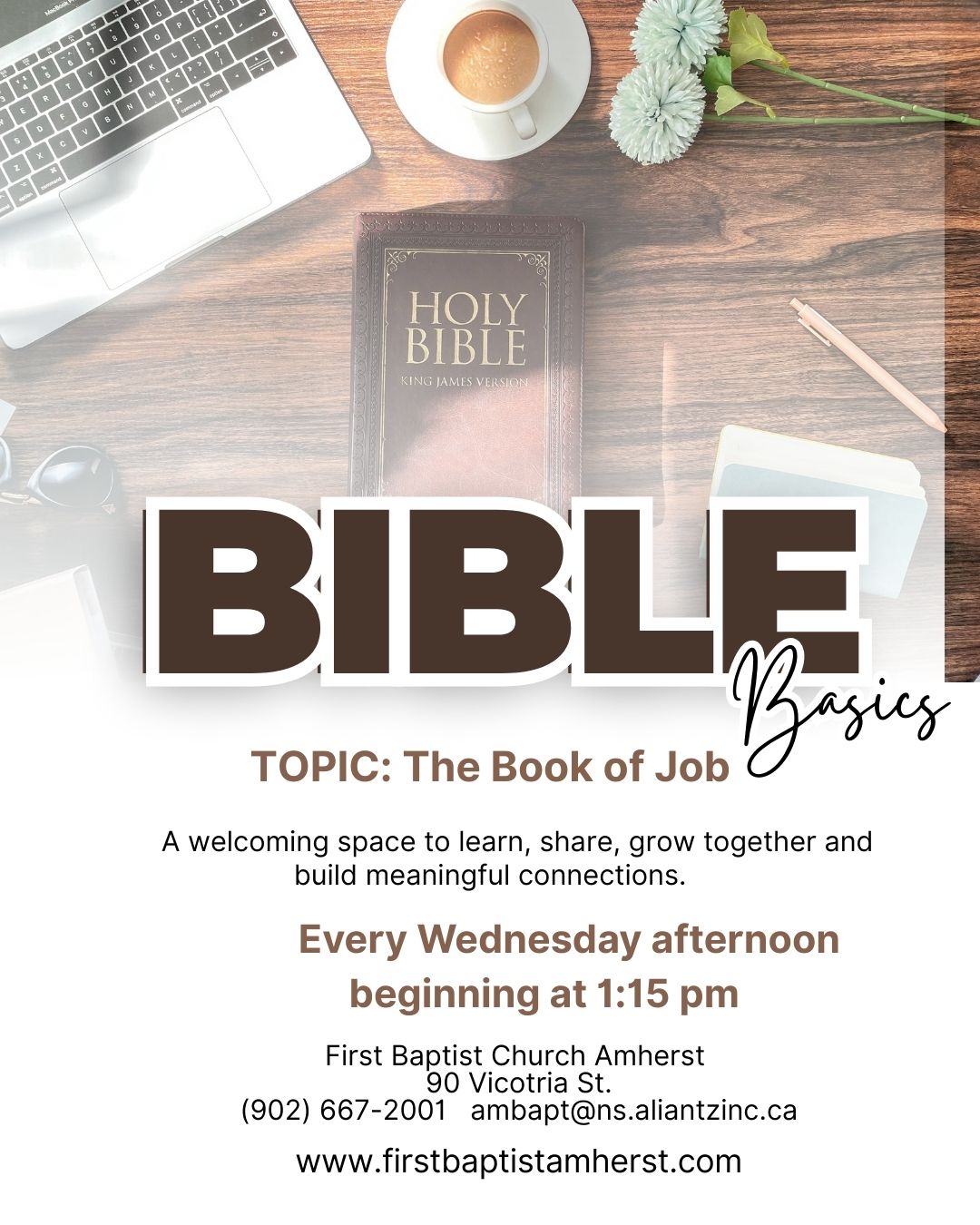 Bible Basics: The Book of Job